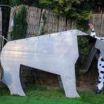 Ruth Hawe Profile Picture