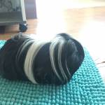 Missy Day profile picture