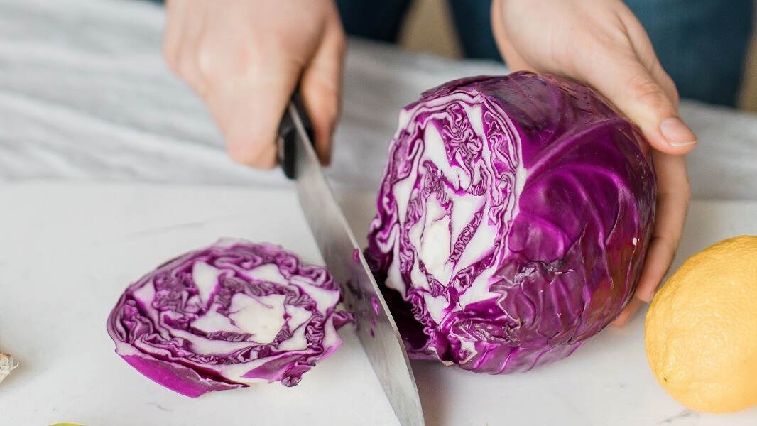 Do Plants Really Feel Pain? What Does Science Say?