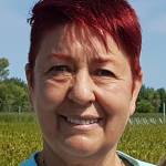 Svetlana Kolozsvari profile picture