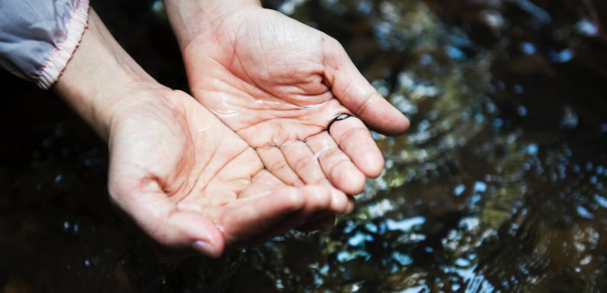 10 Shocking Stats About Water and Meat-Eating