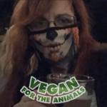 Tanya Comfort profile picture