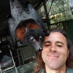 Nuno Goncalo Martins Cintra profile picture