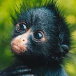 Kim Hobbs Profile Picture