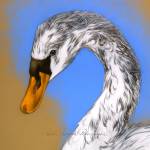 Rāvel Śāśwata Pētershāgen Profile Picture